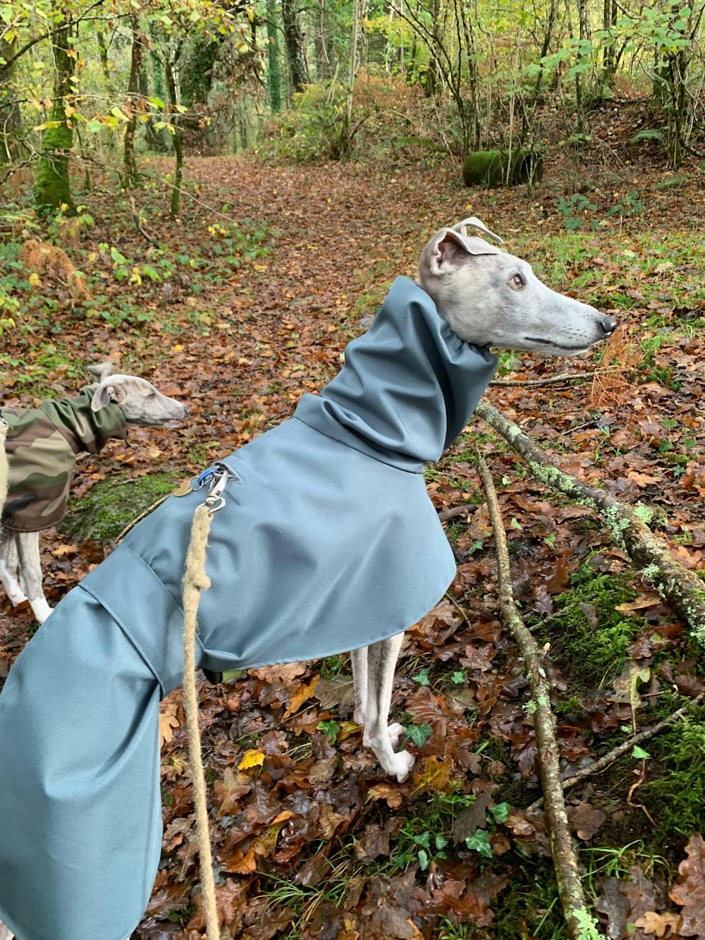 THE ELSA Lightweight, Water Resistant, Whippet Raincoat