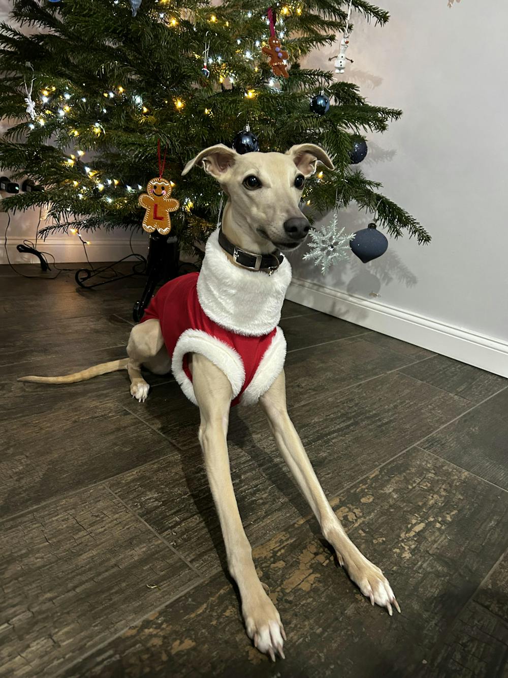 Speedray Design Wear