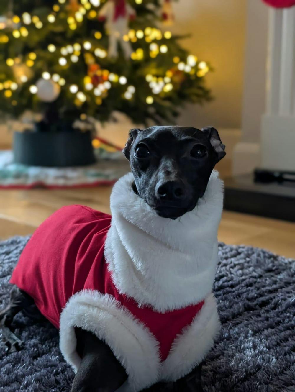 Speedray Design Wear