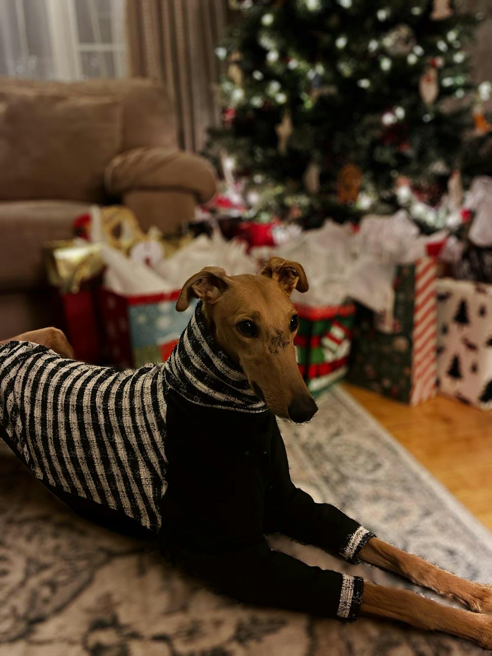 THE MILLIE ESMEE Jumper - Greyhound Size