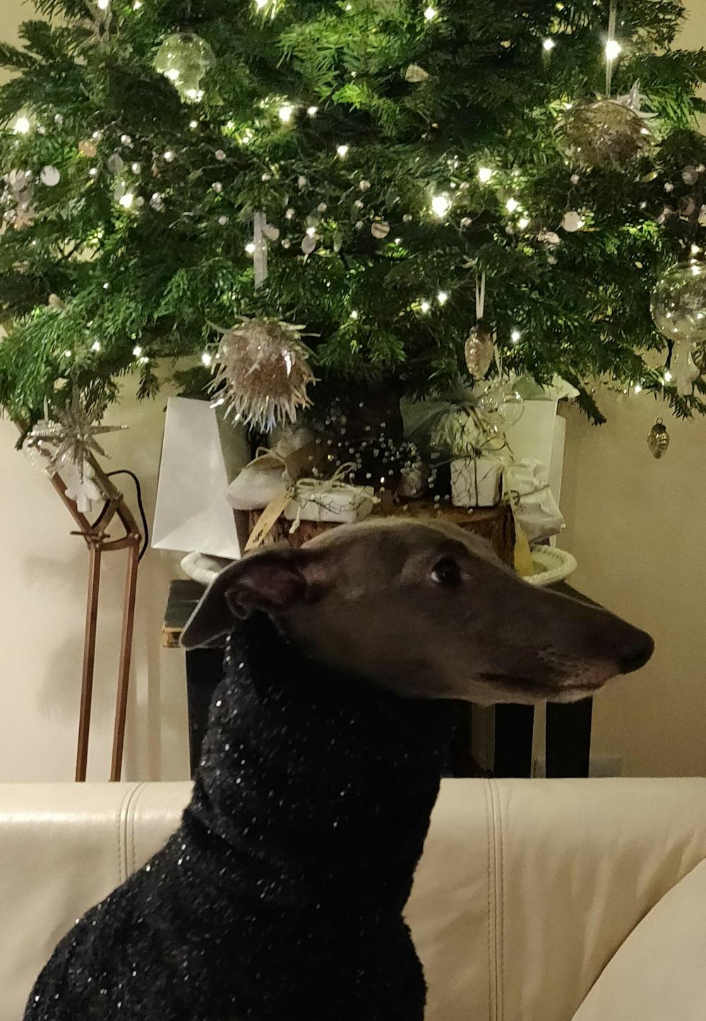 Faux Fur Whippet Jumper
