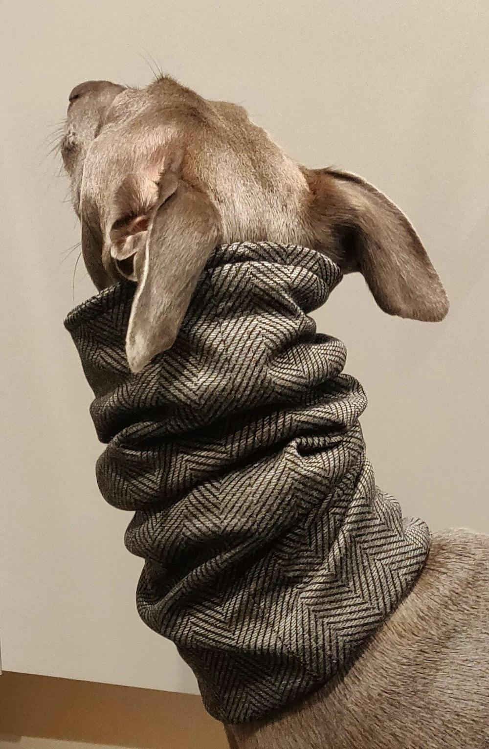 THE BUZZ Herringbone Sighthound Snood