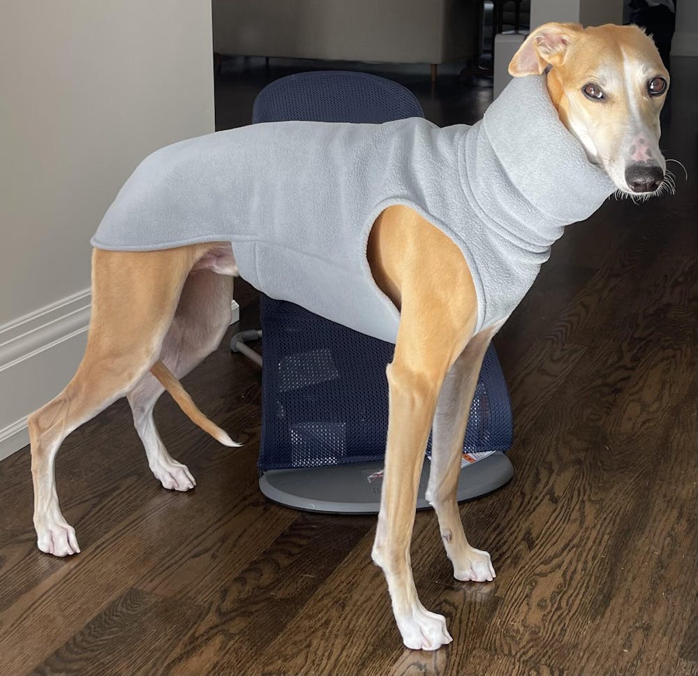 THE BERRY Premium Fleece Whippet Jumper