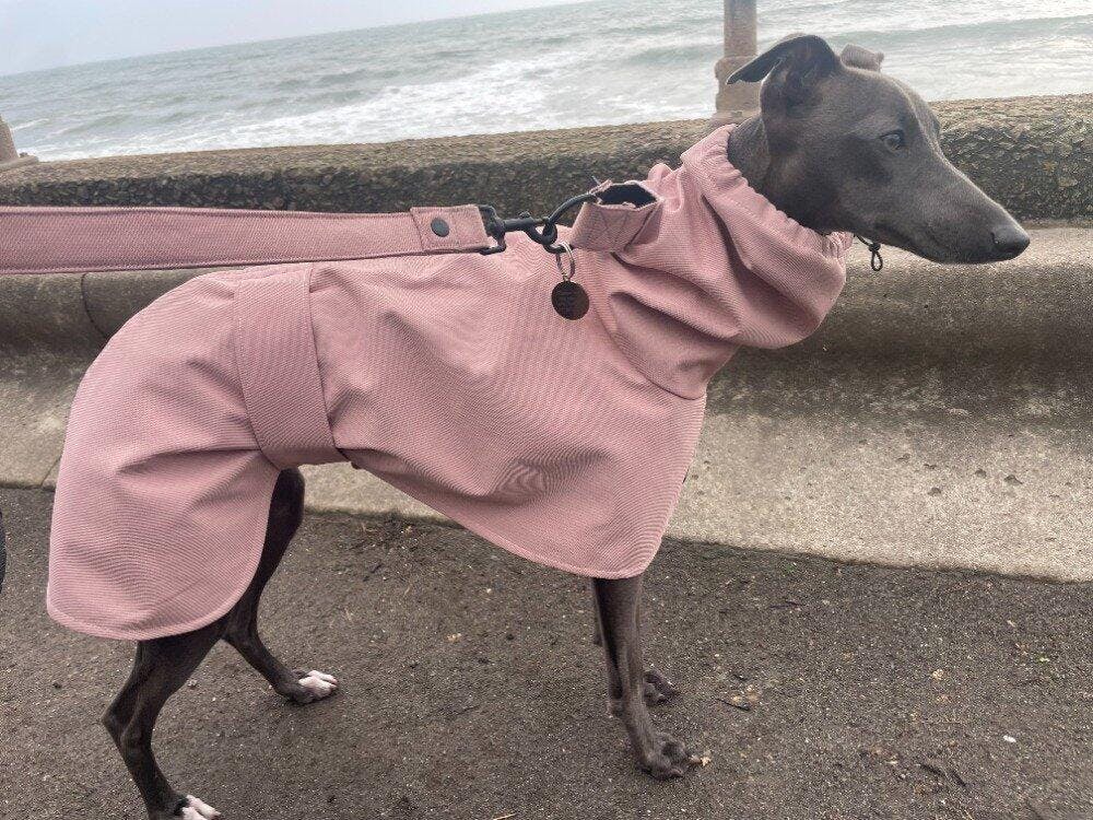 THE ROXY Whippet Raincoat (Lights) - In Stock