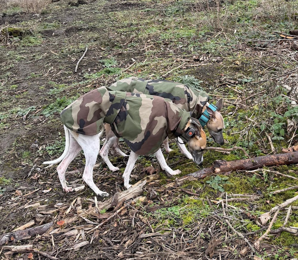 THE DINO Lightweight Camouflage, Water Resistant, Whippet Raincoat