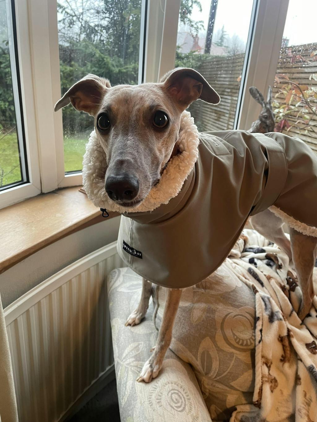 Speedray Design Wear