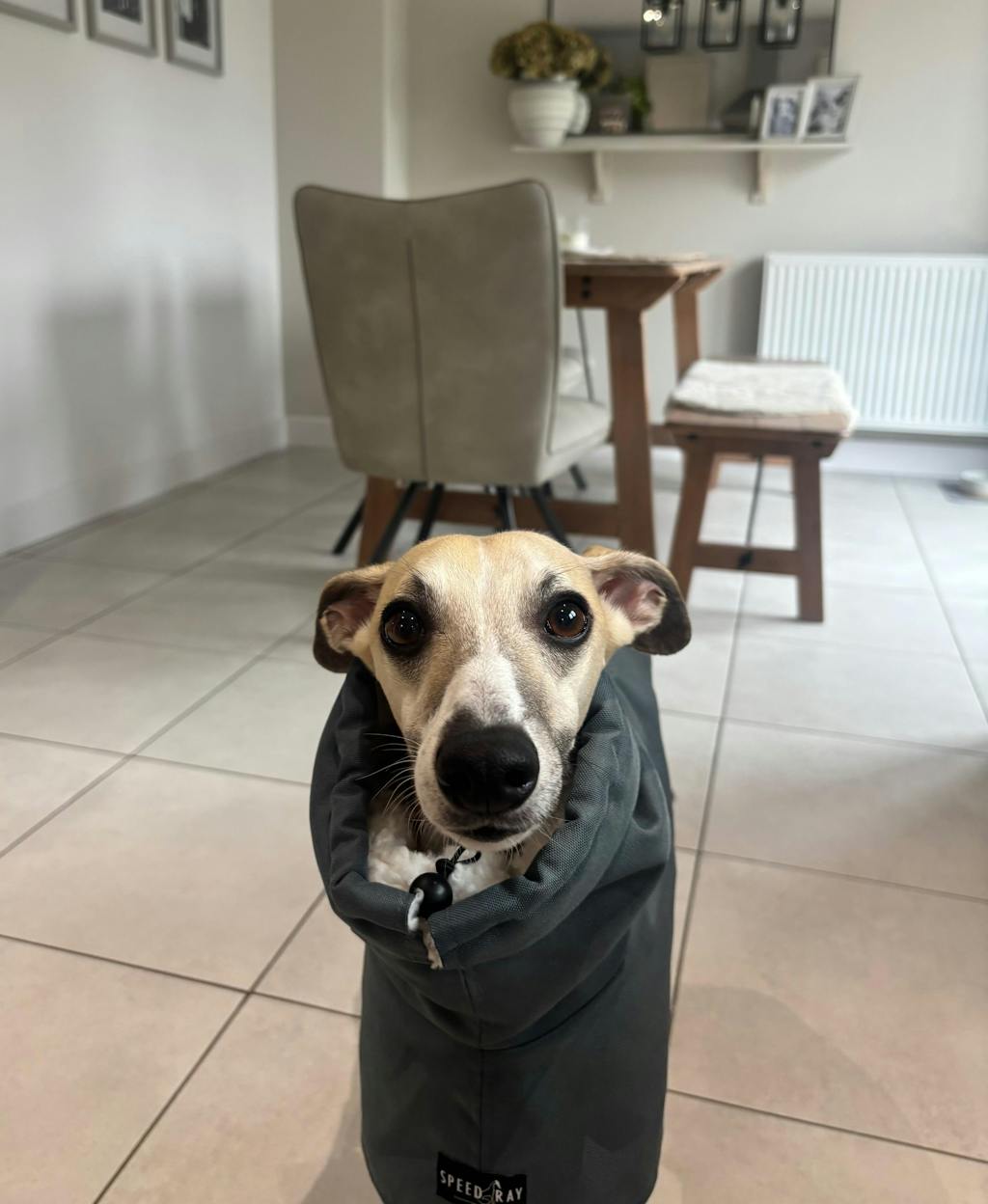 THE ELSA Lightweight, Water Resistant, Whippet Raincoat - Sherpa Edition