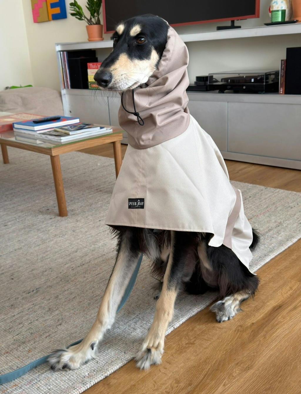 THE ELSA Two Tone Raincoat - Greyhound Size