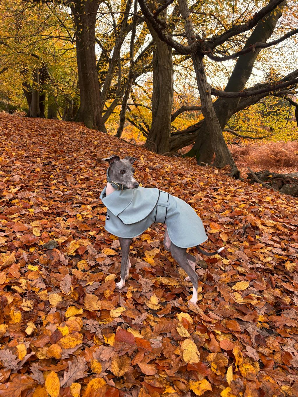 THE ELSA Whippet Trench Raincoat - Earthy tones