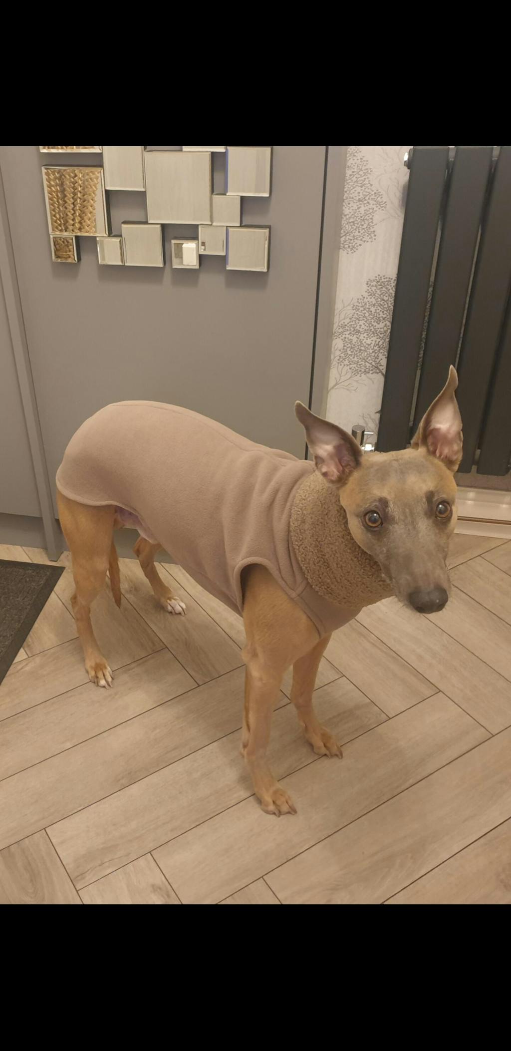 THE BERRY Premium Fleece Whippet Jumper