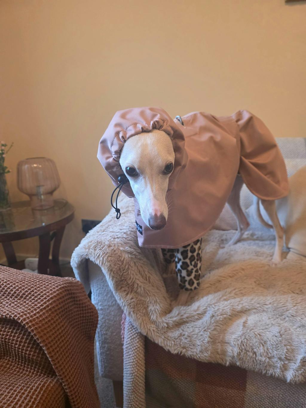 THE ELSA Lightweight, Water Resistant, Whippet Raincoat