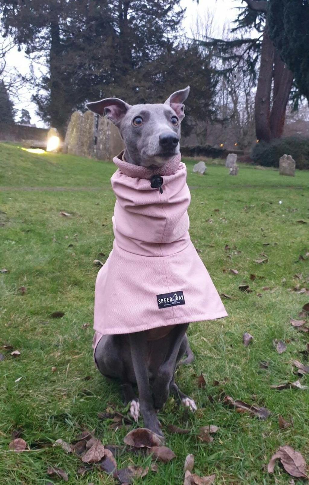THE ELSA Lightweight, Water Resistant, Whippet Raincoat