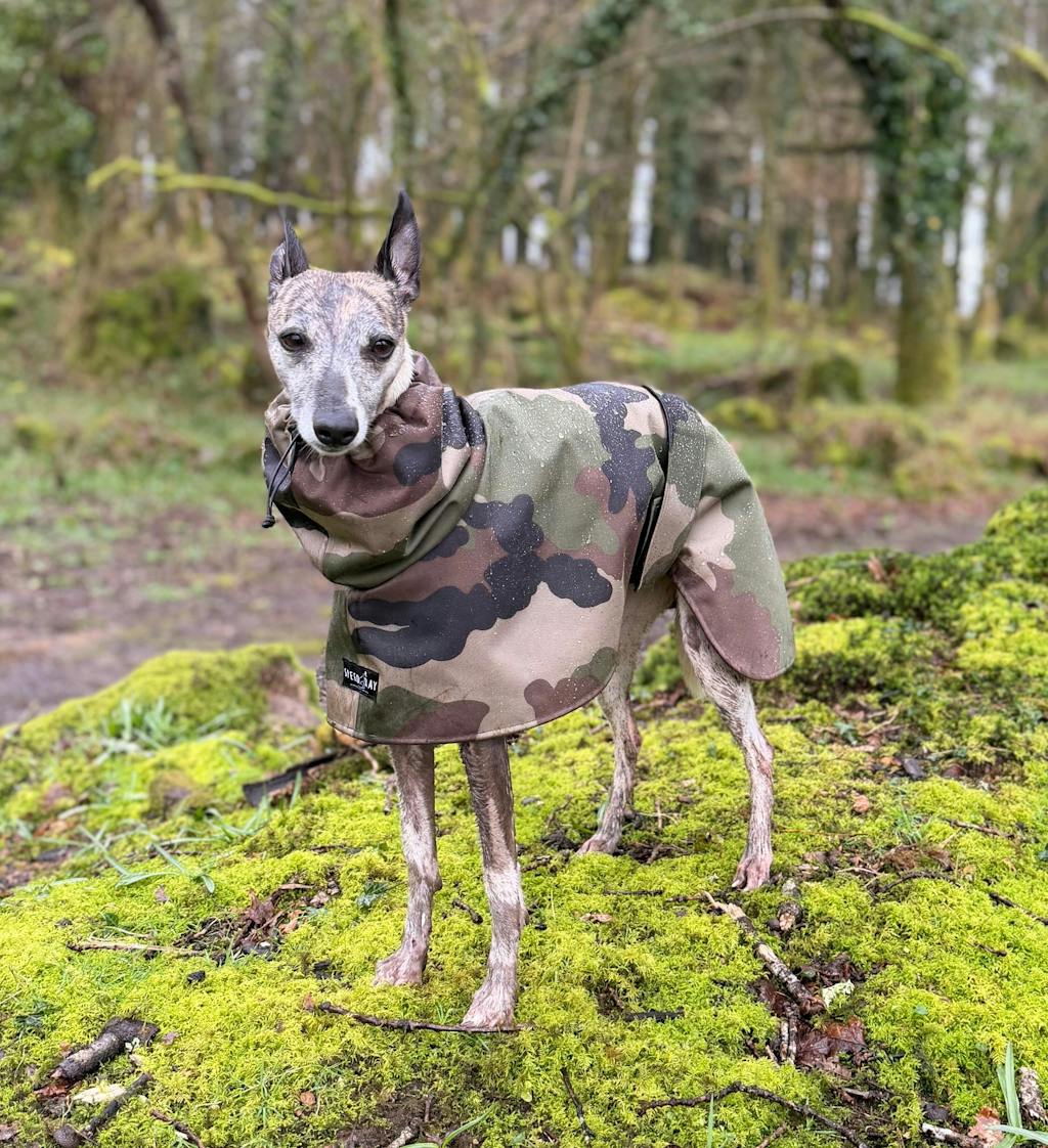THE DINO Lightweight Camouflage, Water Resistant, Whippet Raincoat