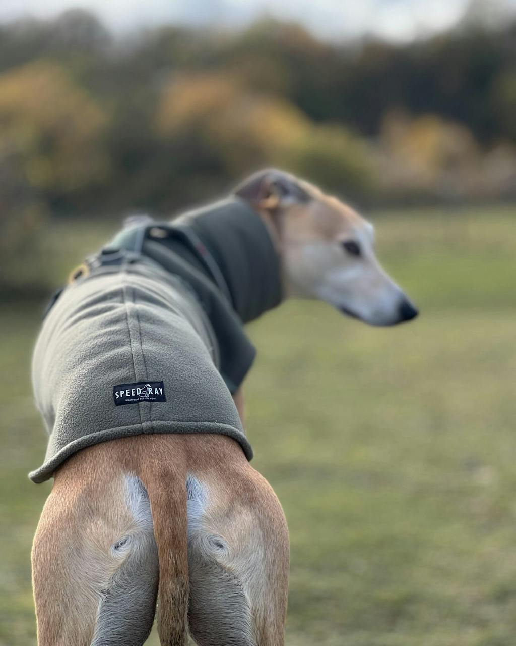 THE BERRY Premium Fleece Jumper - Greyhound Size
