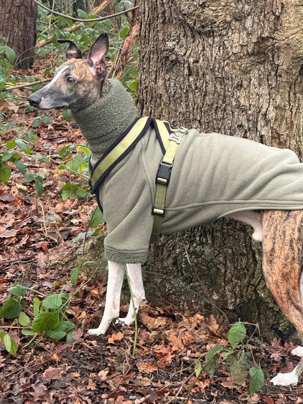 THE BERRY Short Sleeved Premium Fleece Whippet Jumper
