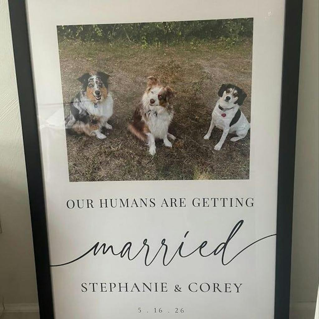 My Humans Are Getting Married Wedding Sign, Pet Wedding Welcome Sign With Photo