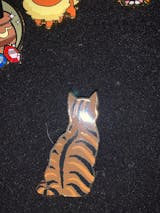 Tabby Cat Enamel Pin