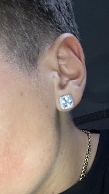 Multicolors Earrings