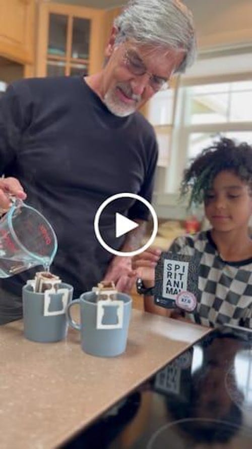 Single-Use Pour-Over Drip Bags - Mix Sample Set (Box of 10 Bags)