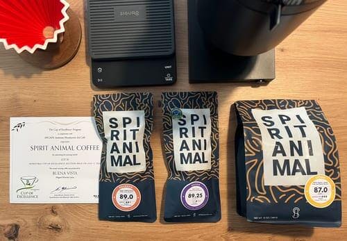 LAST FEW BAGS LEFT! Cup of Excellence Honduras Geisha (#10 Best)