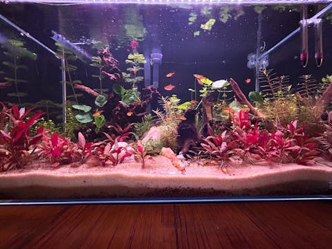 OASE ScaperLine Soil