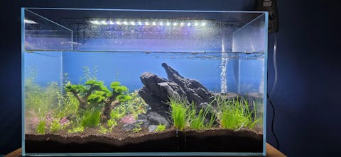 Hydra Luminous 45 Degree 17.1 Gal. (LI) Ultra Clear Aquarium 23.6" x 11.8" x 14.2" with Mat