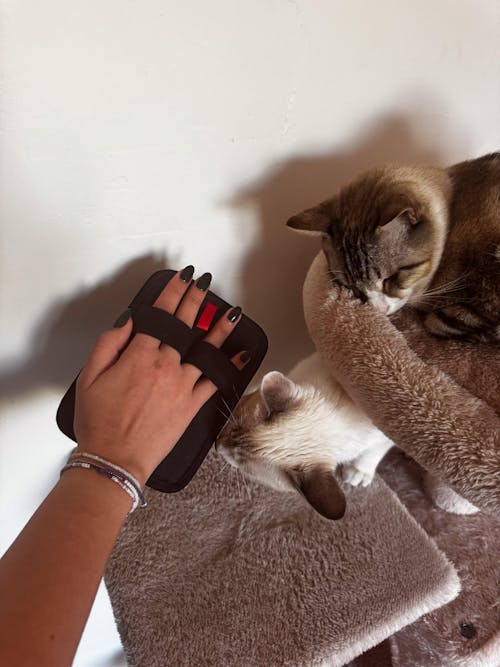 Gant Anti-Poils Textiles