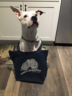 Love Birds Tote Bag (recycled cotton)