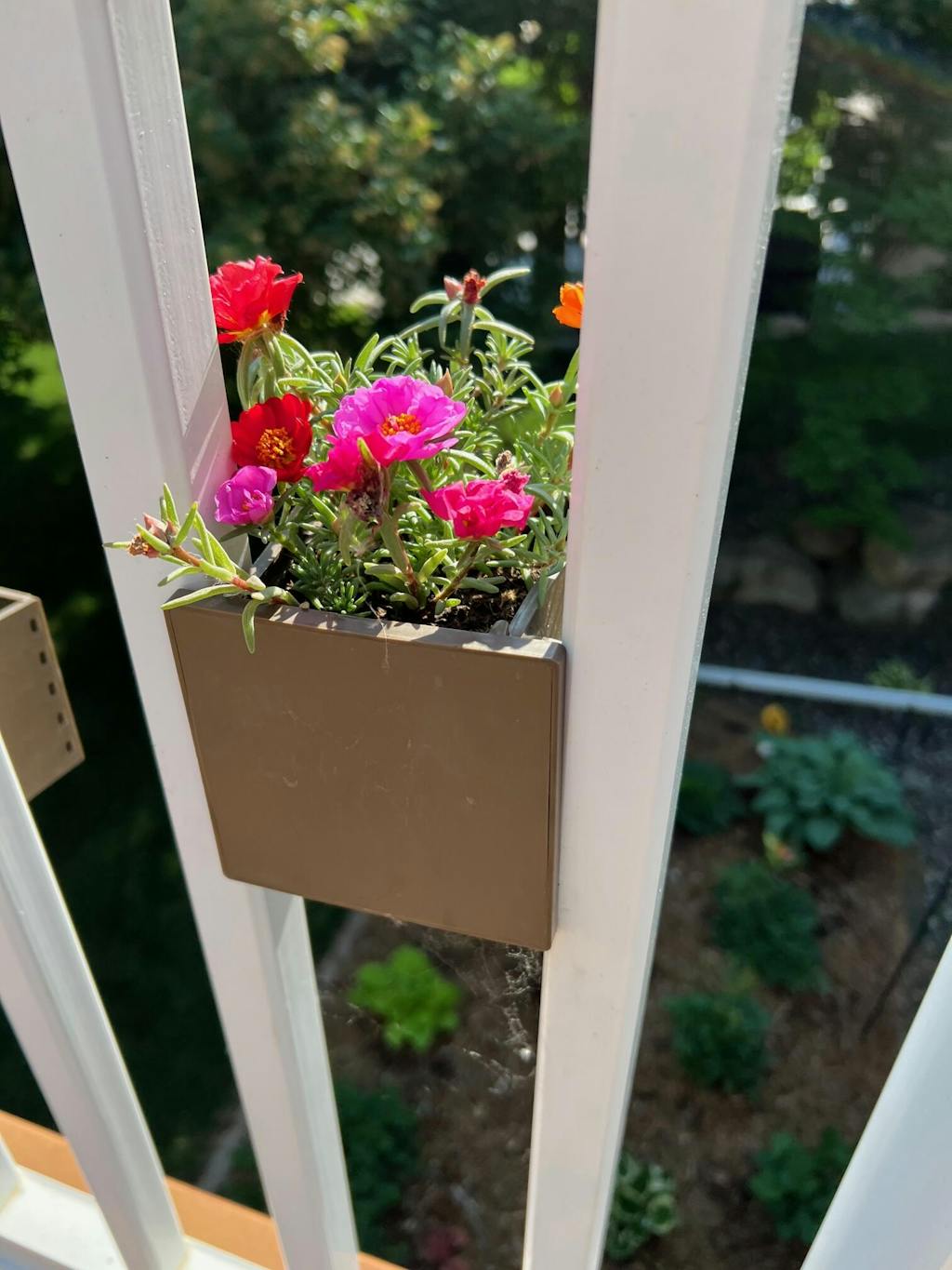 Sprout Planter Custom Fit Liners