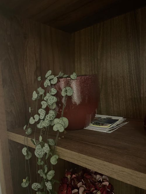 Palazo Ceramic Pot – Burgundy