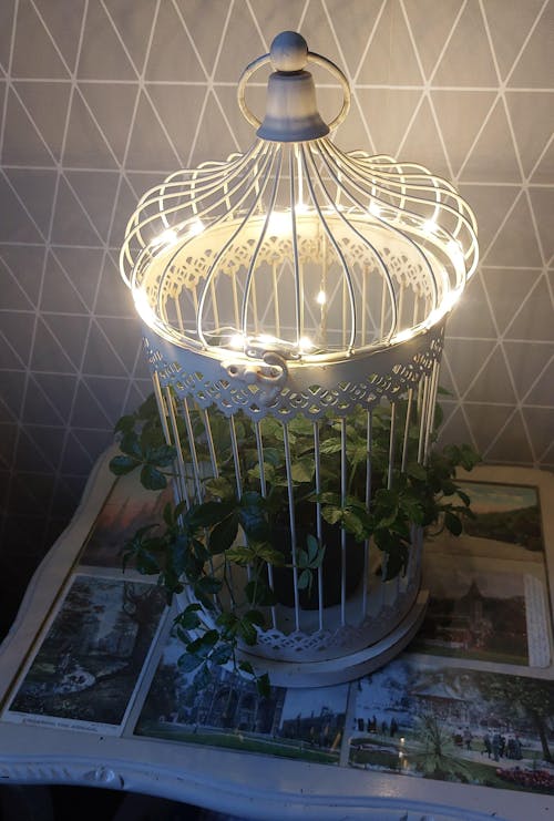 Wooden Tripod Plant Stand – Three Leg Stool Table