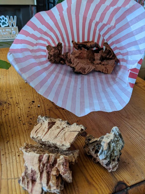 Cork Bark Chunks / Pieces - Terrarium Supplies