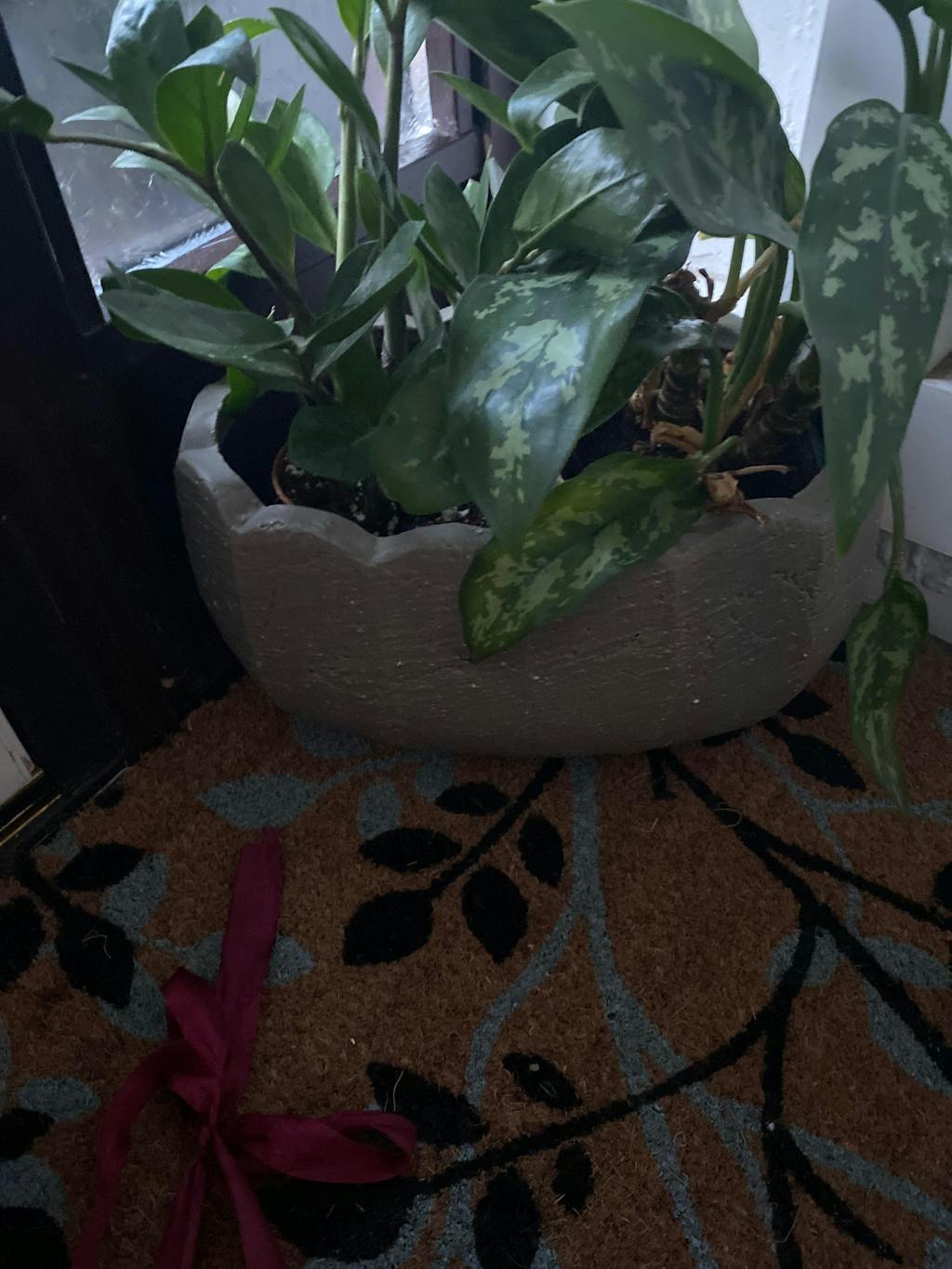 Lidstone Scallop Plant Pot Oval in Grey