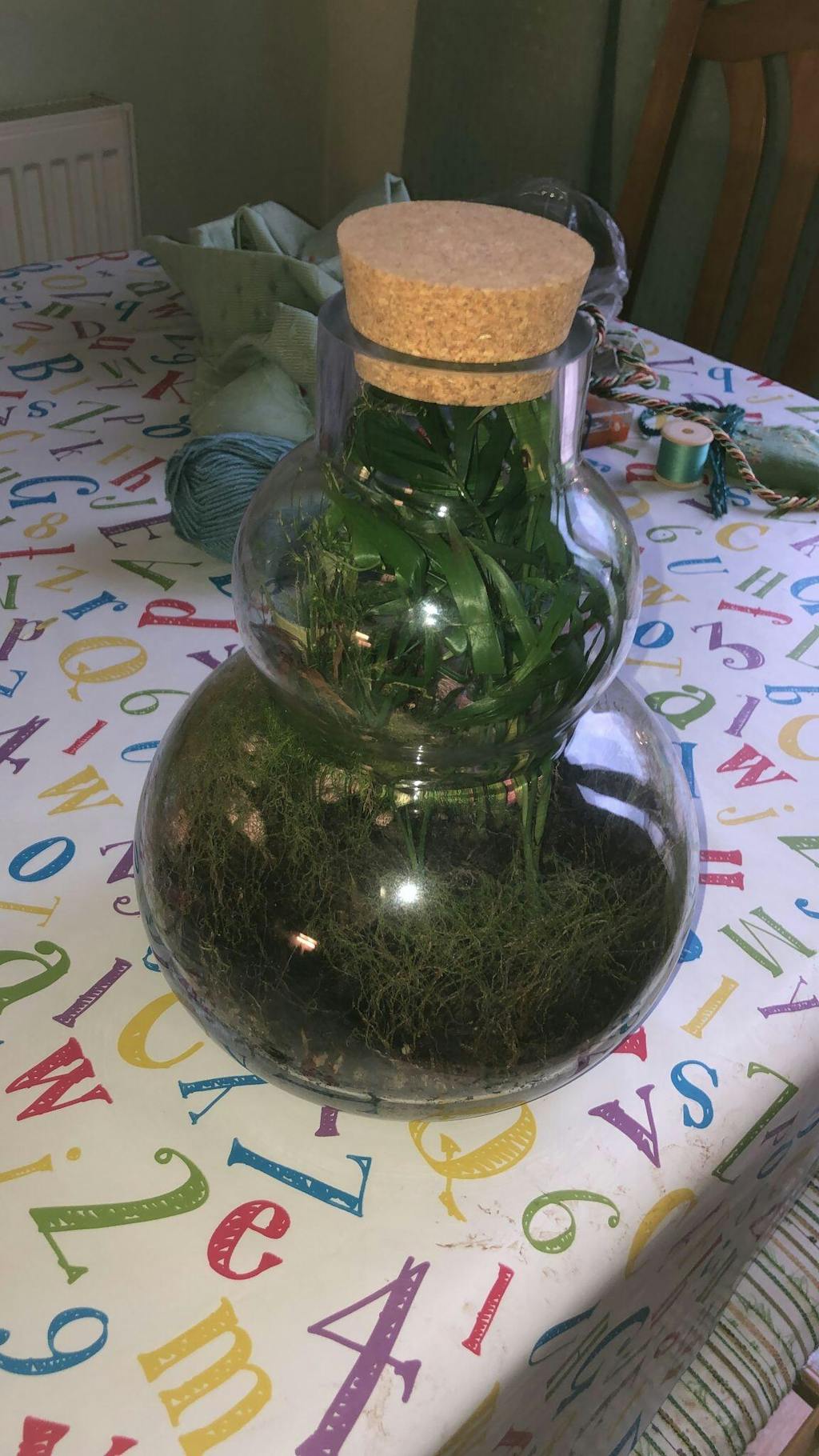 Cork Lid - Perfect Fit for Terrariums and Glass Jars - Various Sizes