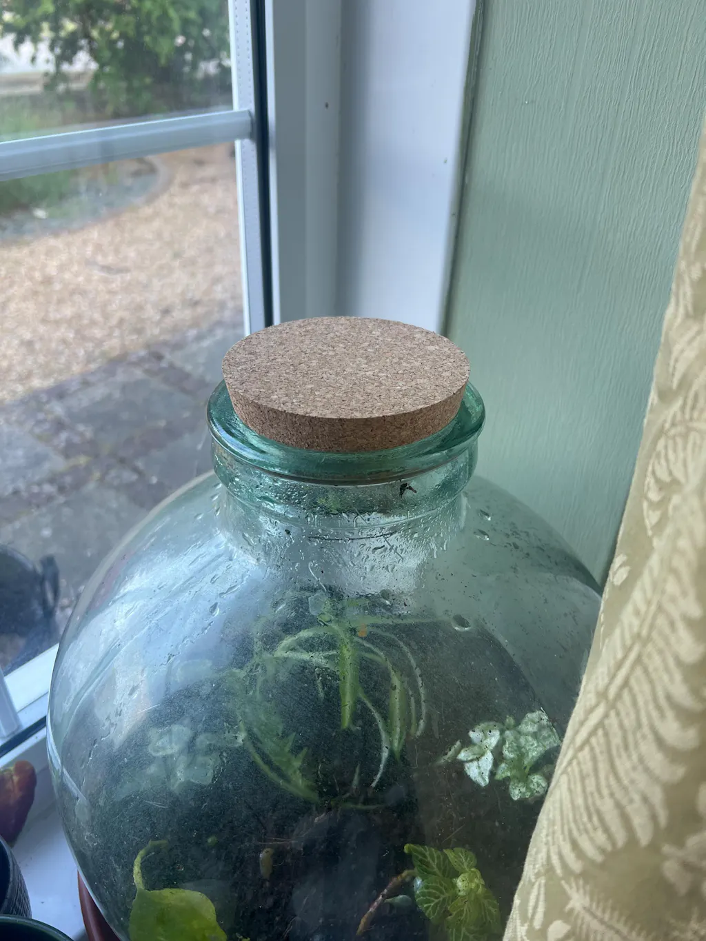 Cork Lid - Perfect Fit for Terrariums and Glass Jars - Various Sizes