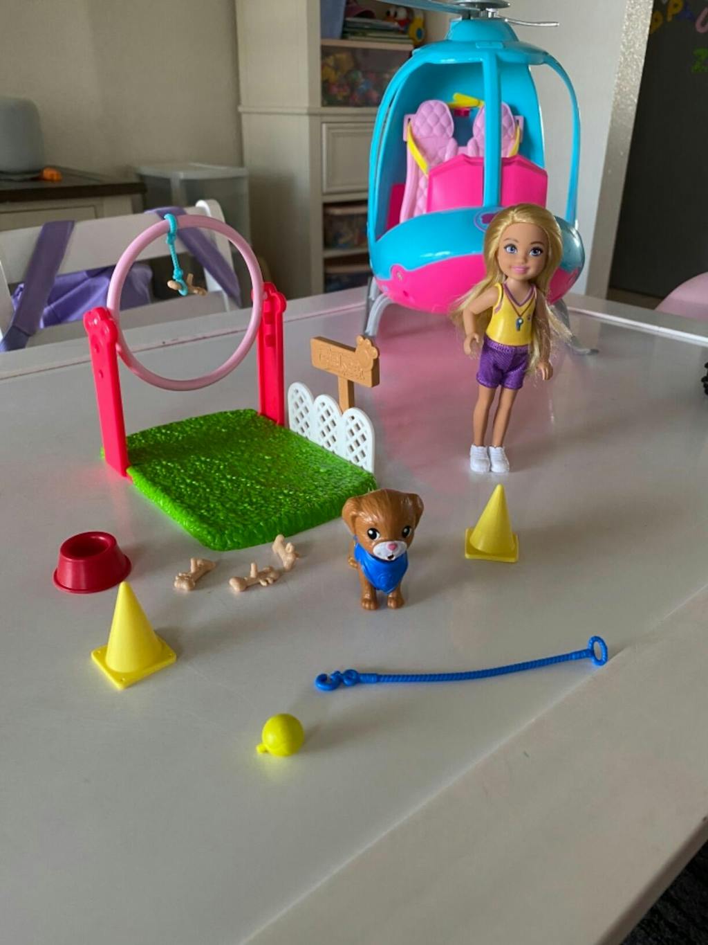 Barbie Chelsea Can Be Blonde Doll & Dog Trainer Playset – Square Imports