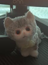 A14: One small orange squishy cat with orange eyes