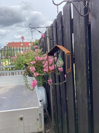 Vogelvoederhuis INFINITE