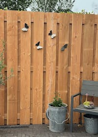 Tuinvorm BUTTERFLIES