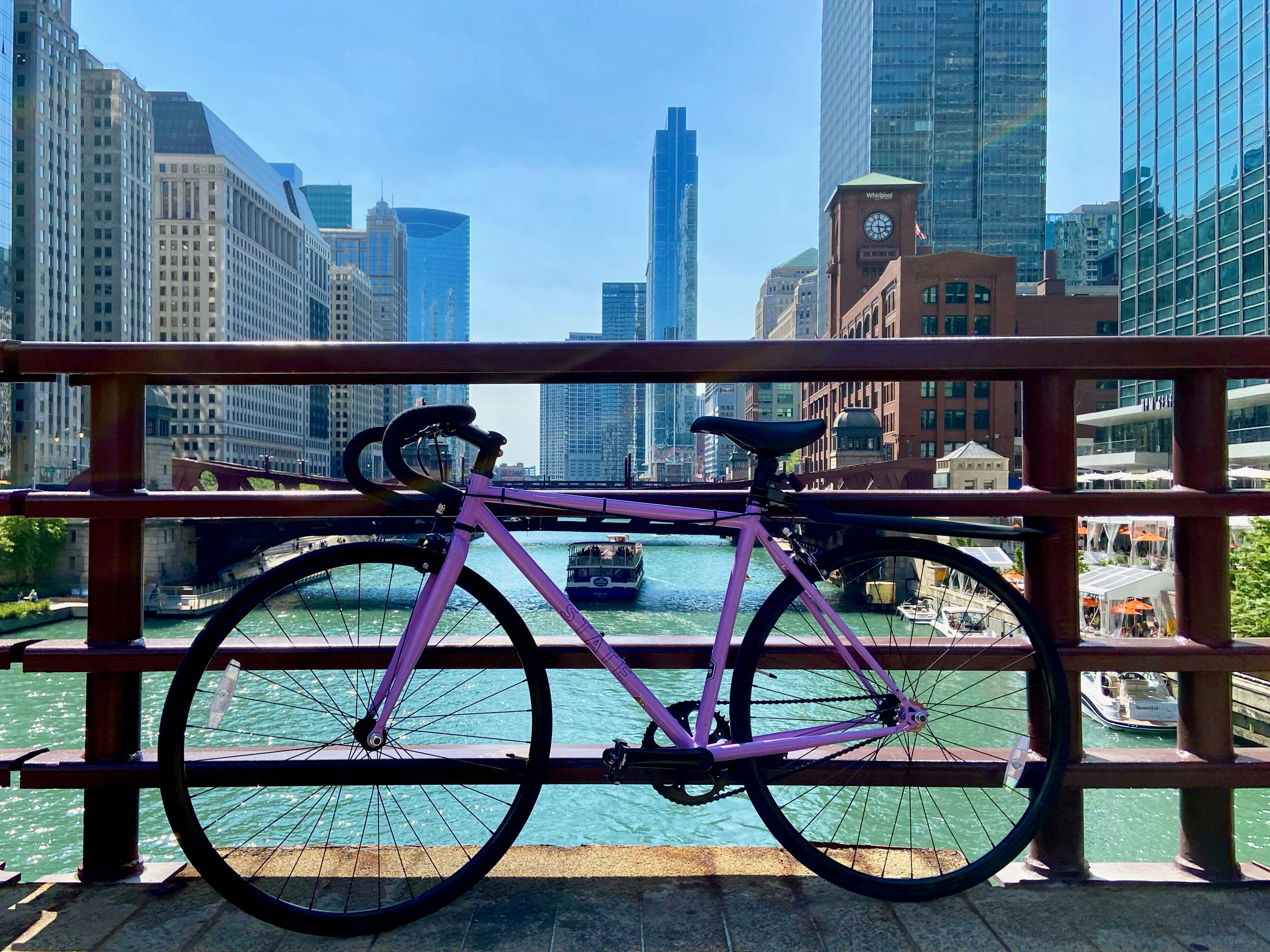 state bicycle perplexing purple