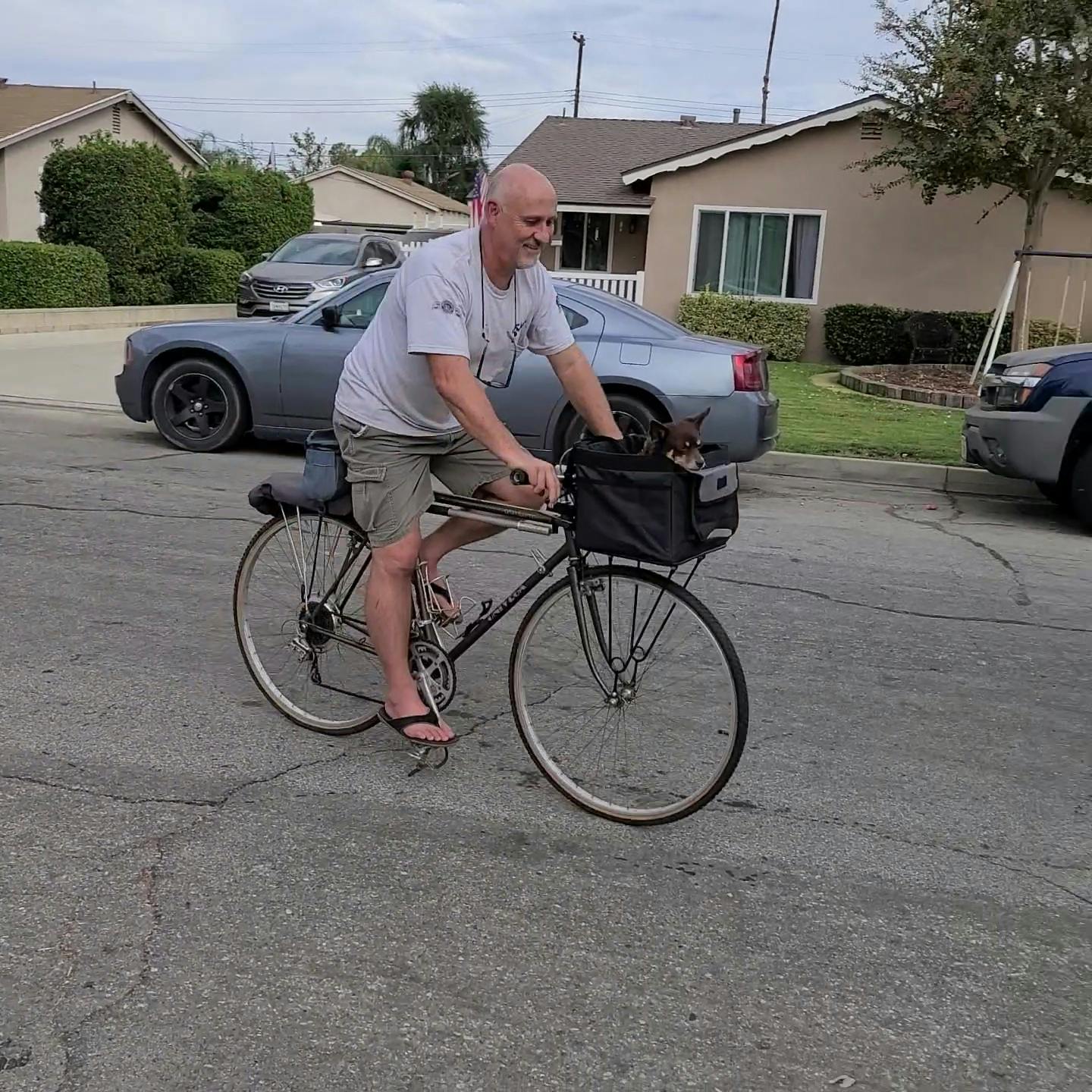 state bicycle front rack