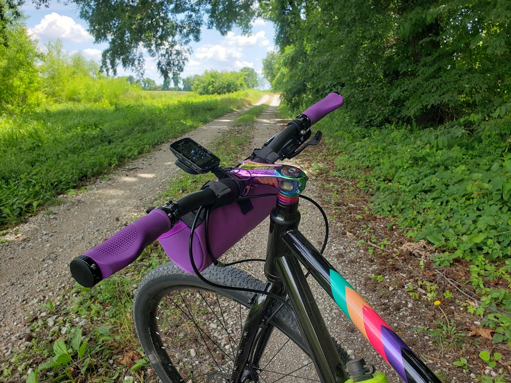 ns oil slick stem