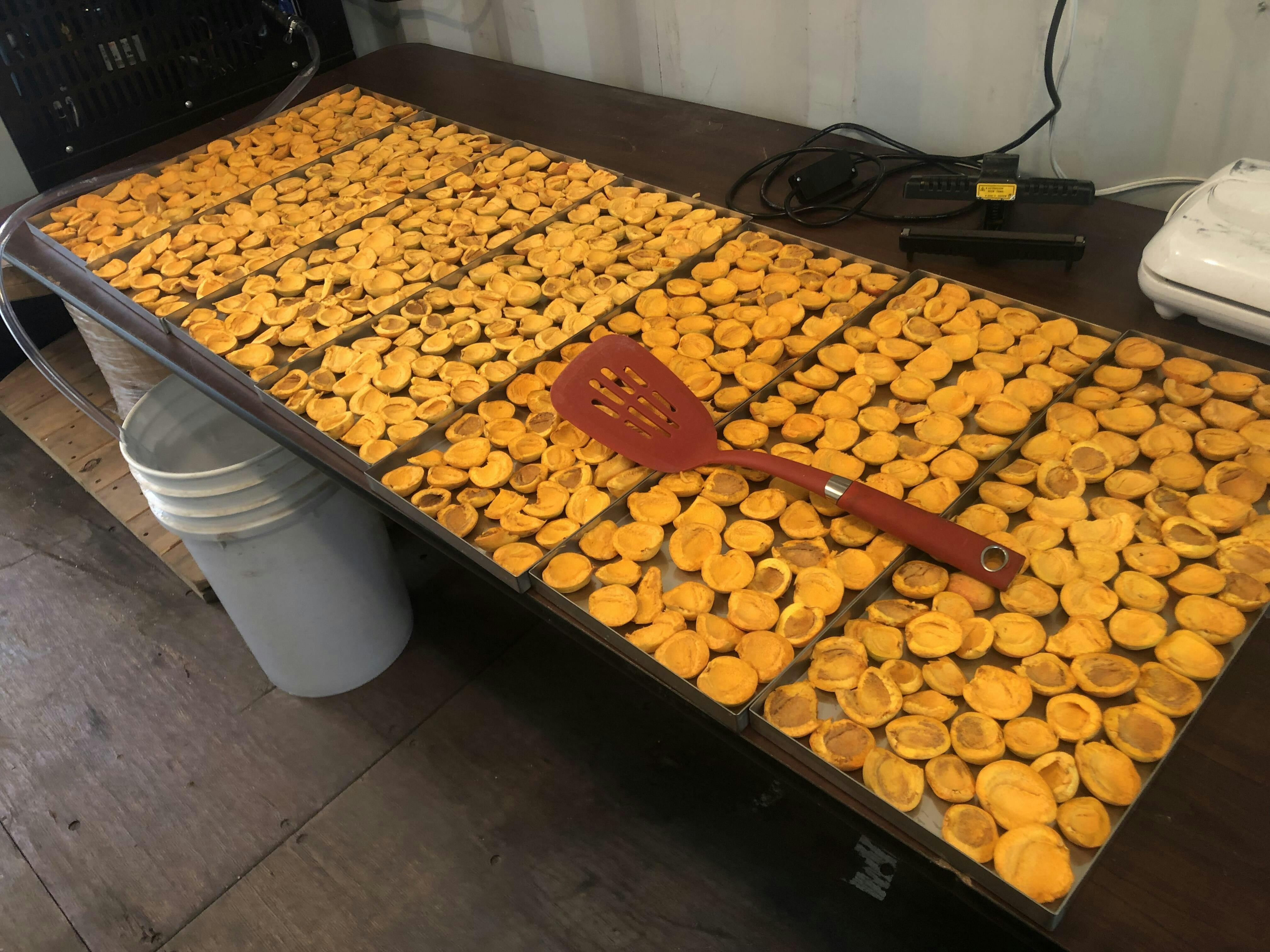 Freeze Dryer Stay Fresh Freeze Dryer