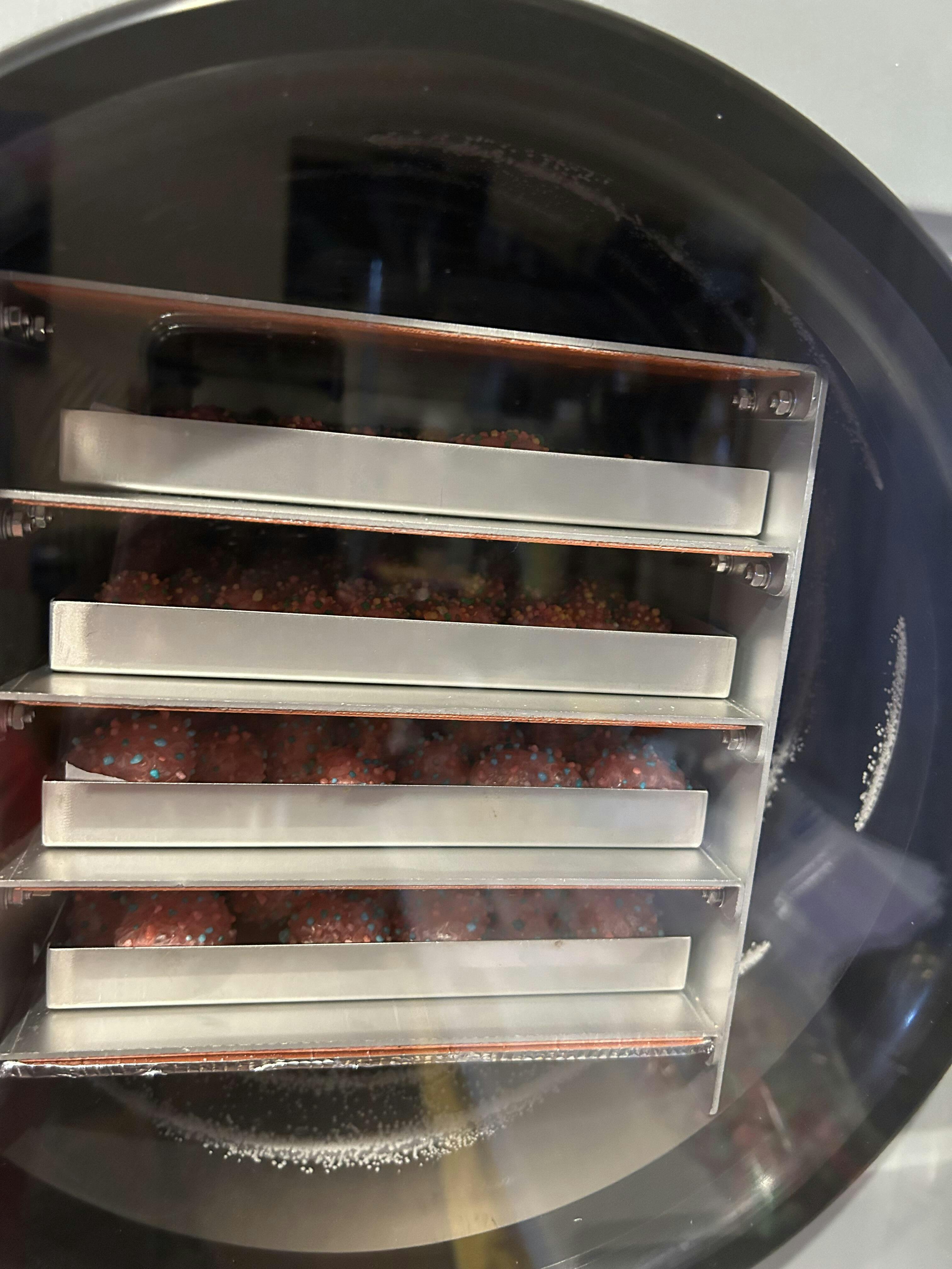 Freeze Dryer Stay Fresh Freeze Dryer