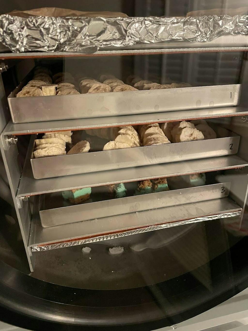 Freeze Dryer Stay Fresh Freeze Dryer