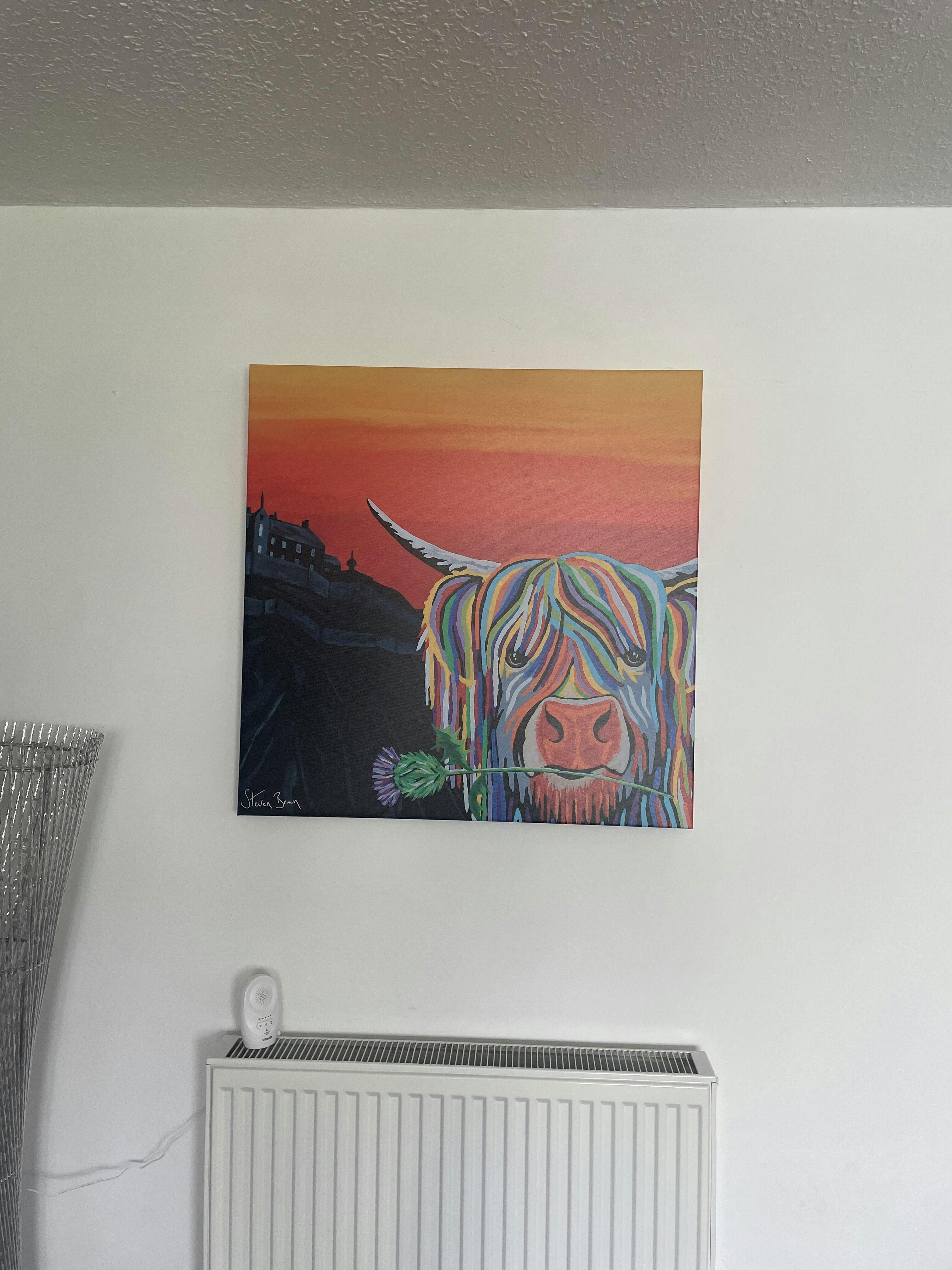 レア/SKOLOCT/CANVAS/ART/2 Auld Scottie McCoo Colourful Cow Painting | Steven Brown Art