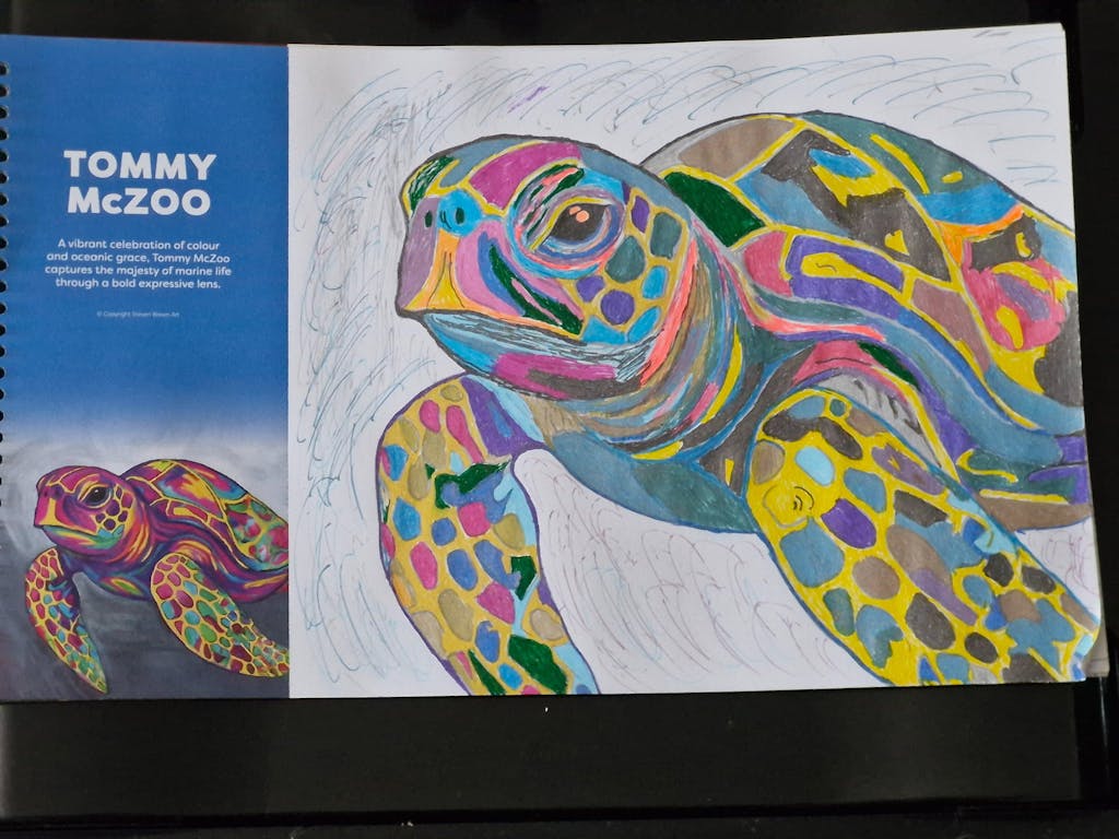 Steven Brown Colouring Books