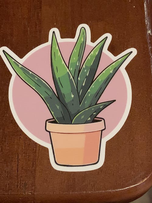 Aloe Plant Sticker