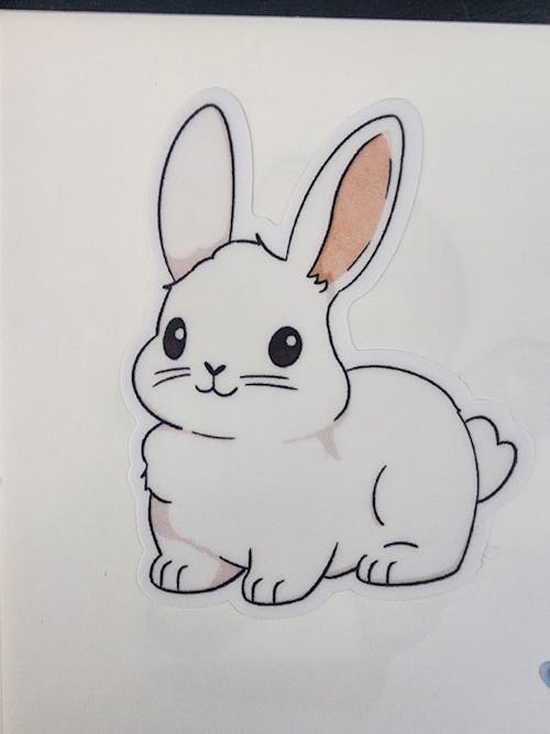 White Cottontail Rabbit Sticker