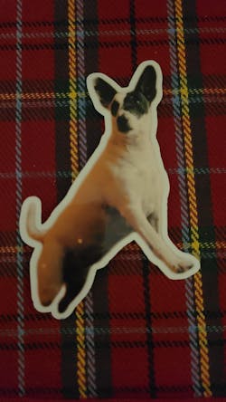 Stickers Animaux personnalisés 